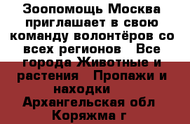 Зоопомощь.Москва приглашает в свою команду волонтёров со всех регионов - Все города Животные и растения » Пропажи и находки   . Архангельская обл.,Коряжма г.